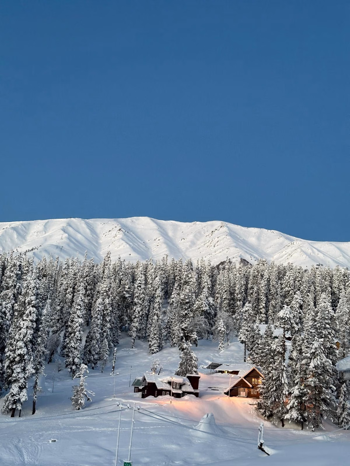 Snow-covered peaks and pine forest above Gulmarg